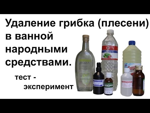 Средство от грибка (плесени) в ванной. Тест - эксперимент.