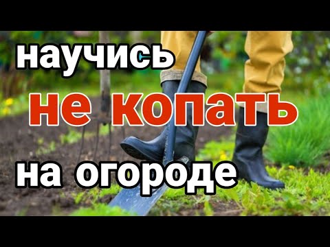 КАК ПОВЫСИТЬ ПЛОДОРОДИЕ ЗЕМЛИ / ПОЧВЫ. Как начать не копать землю