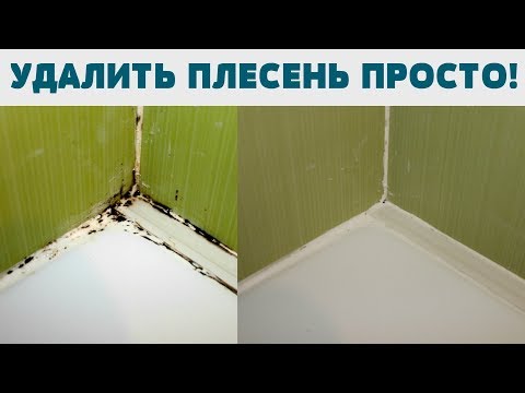 КАК НАВСЕГДА УБРАТЬ ПЛЕСЕНЬ ГРИБОК в ванной КАК ОЧИСТИТЬ ШВЫ МЕЖДУ ПЛИТКОЙ УДИВИТЕЛЬНО ПРОСТО