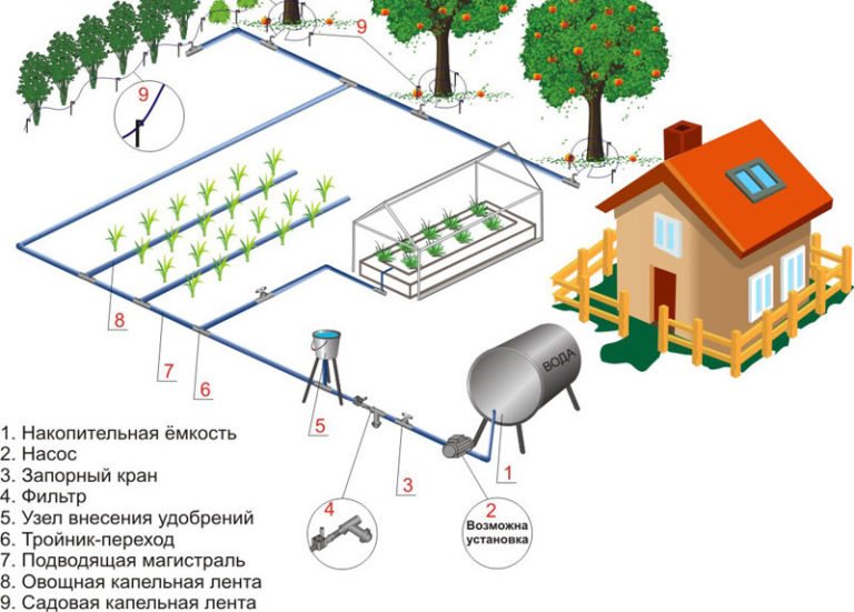 Схема капельного полива