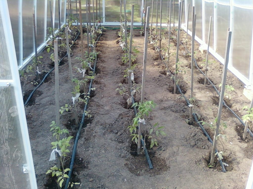 Drip irrigation with your own hands