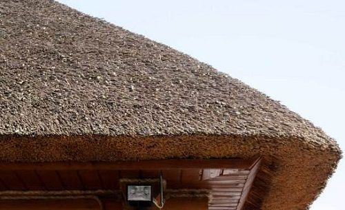 Thatched roof is conveniently unusual and cheap