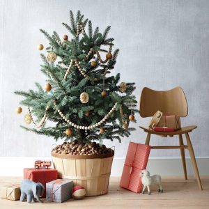 Дизайн и новогодняя ель